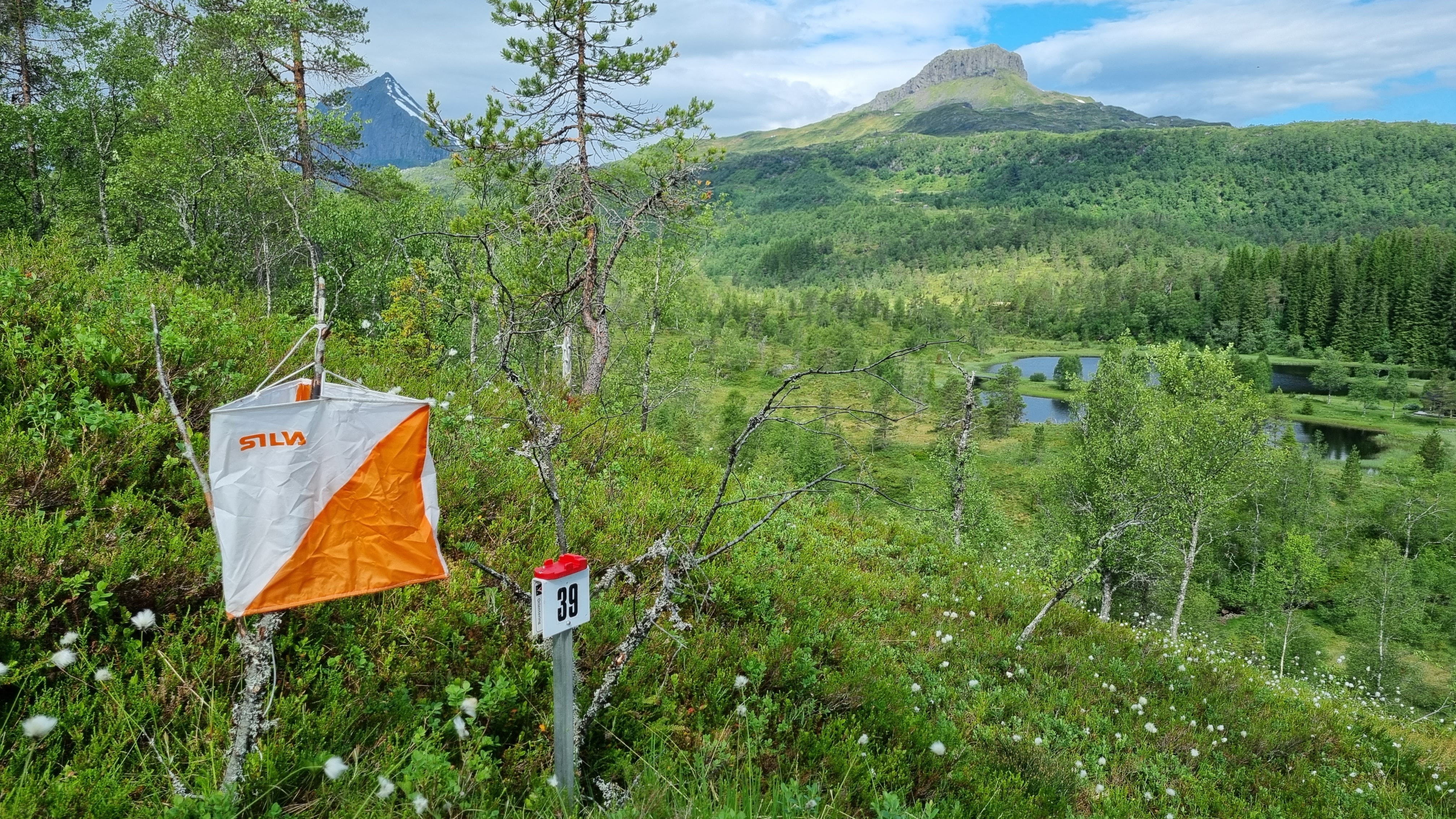 O-løp 25. juni Djupedalen